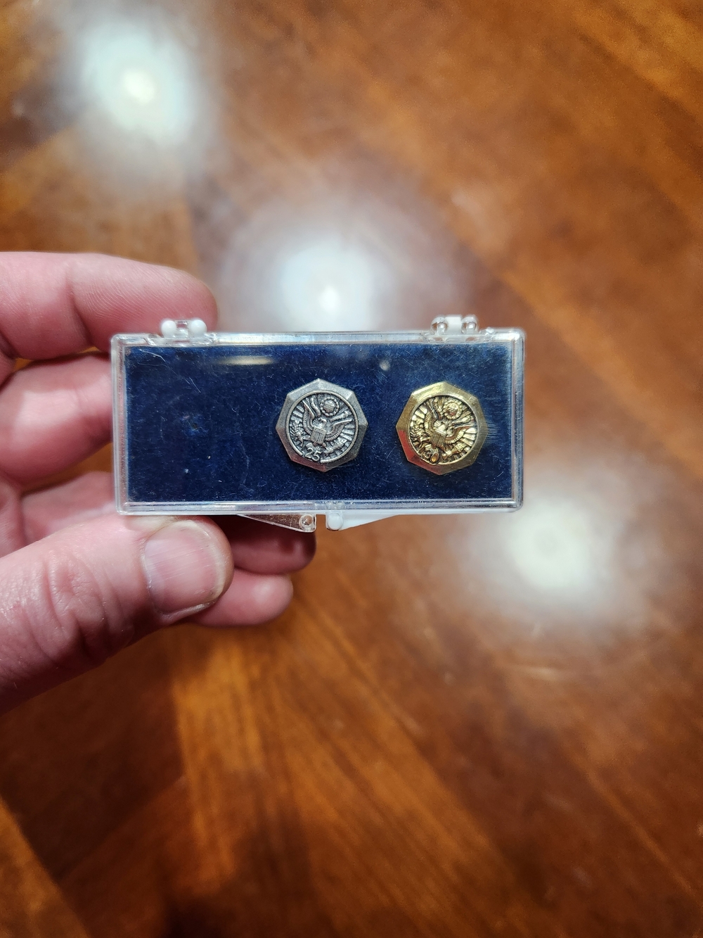 Two military pins out of a set of three.